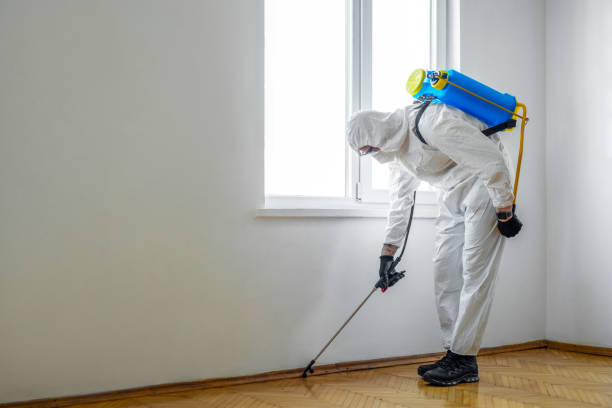 Emergency Pest Control Services in Casa Loma, CA